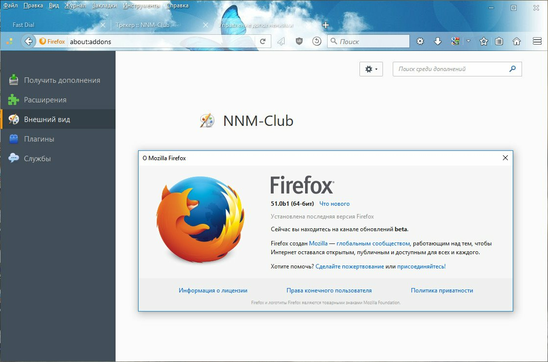 Версия браузера firefox. Firefox3.0.3. Mozilla Интерфейс. Mozilla Firefox браузер. Firefox Скриншот.